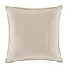Top 10 ✨ Five Queens Court Andy 20 Inch Square Decorative Throw Pillow ✔️